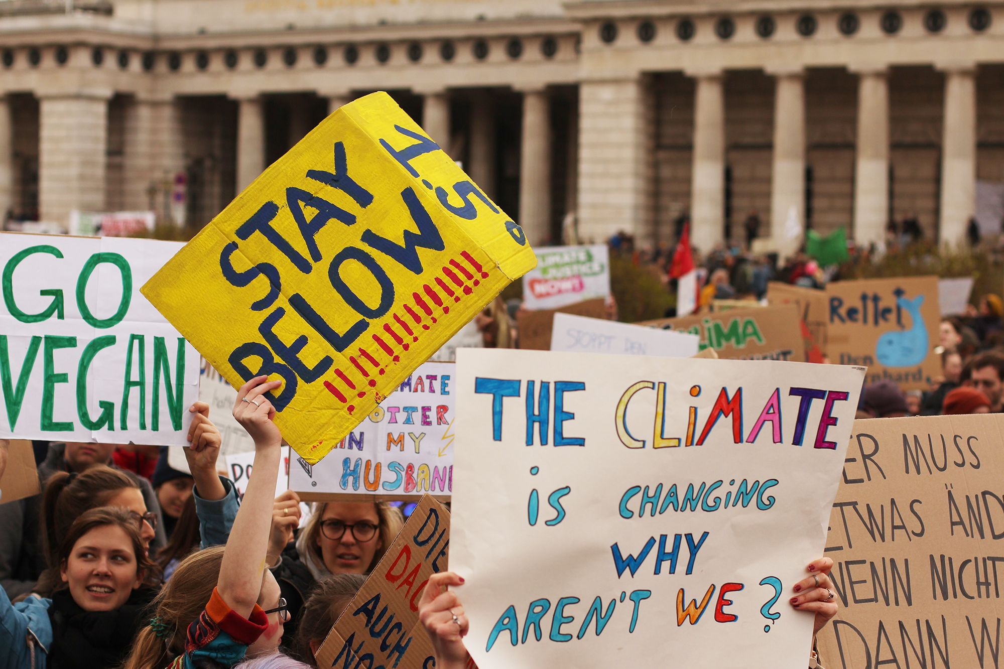 climate march signs