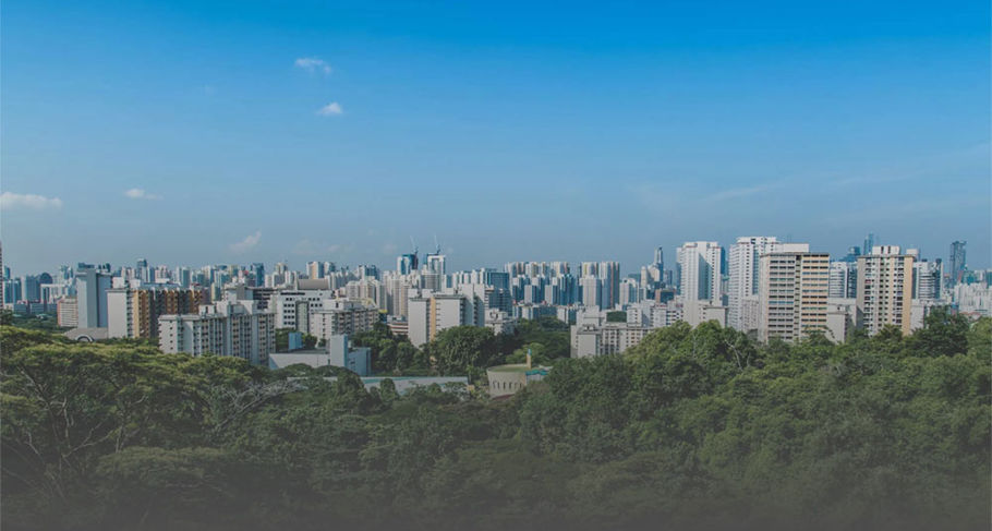 City seen from a hill on a sunny day