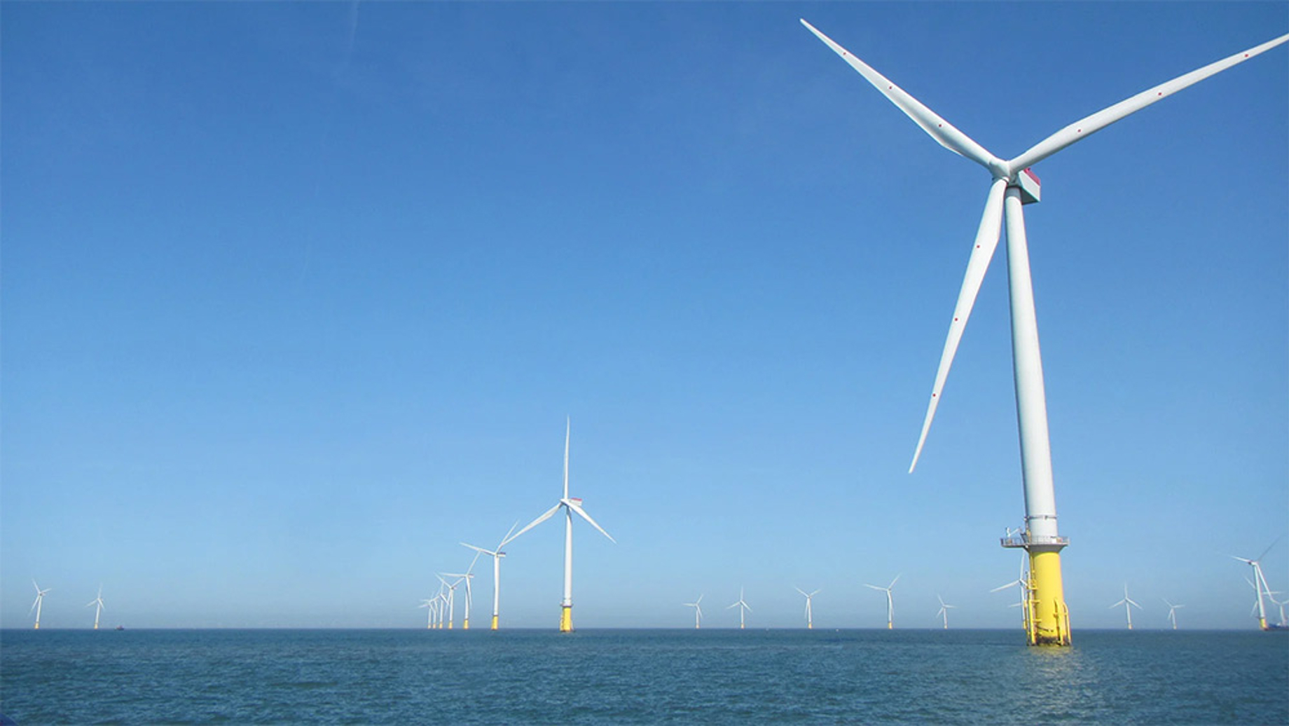 Collection of offshore wind turbines