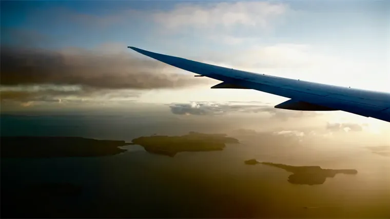 Wing of a plane