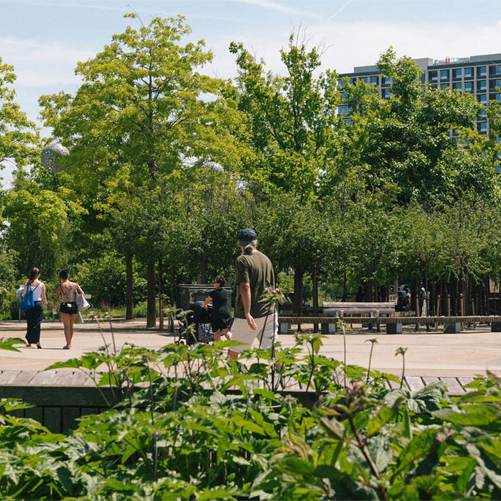 London's Olympic Park