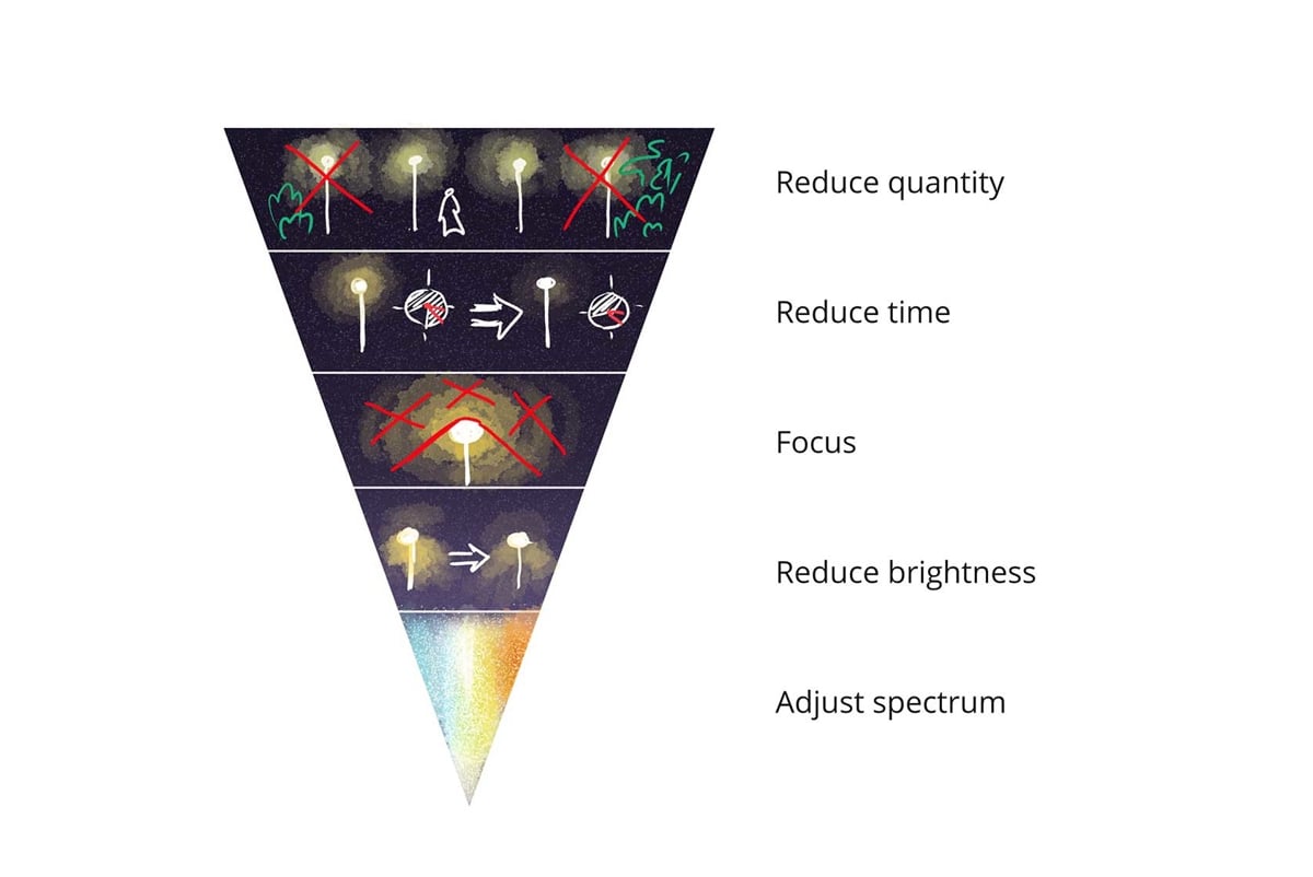 The hierarchy of solutions to limit lighting effects on nocturnal species