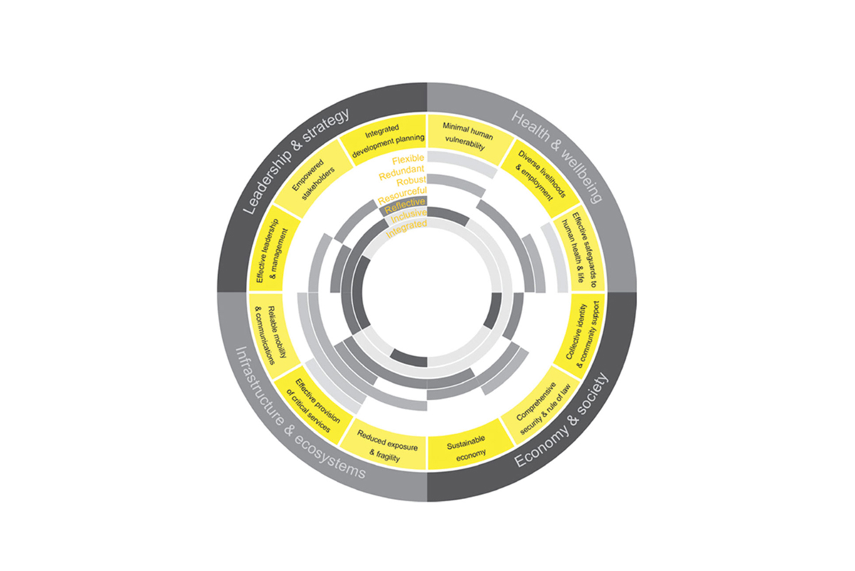 City Resilience Index illustration