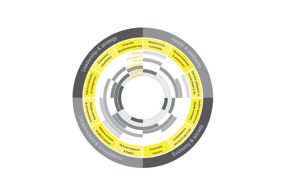 City Resilience Index illustration