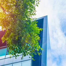 Building with a tree in front of it