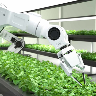 Robot manufacturing future