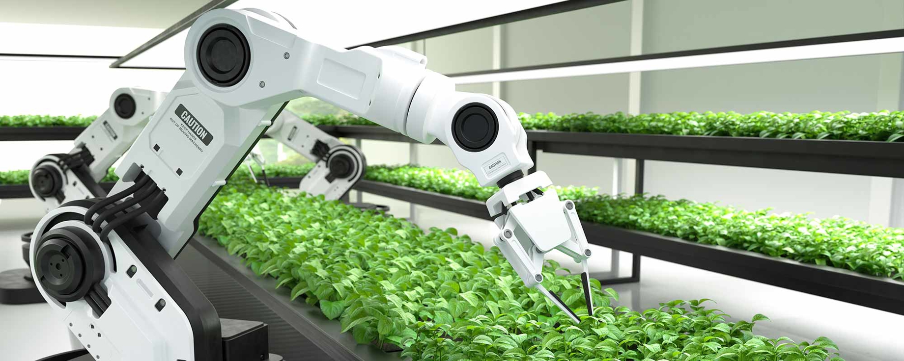 Robot manufacturing future