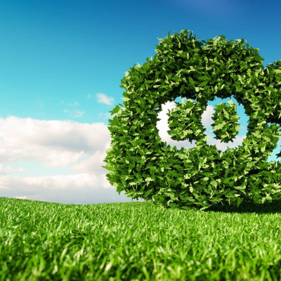 A graphic of a field with a bush containing the letters CO2