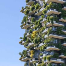 Bosco Verticale net zero buildings where do we stand