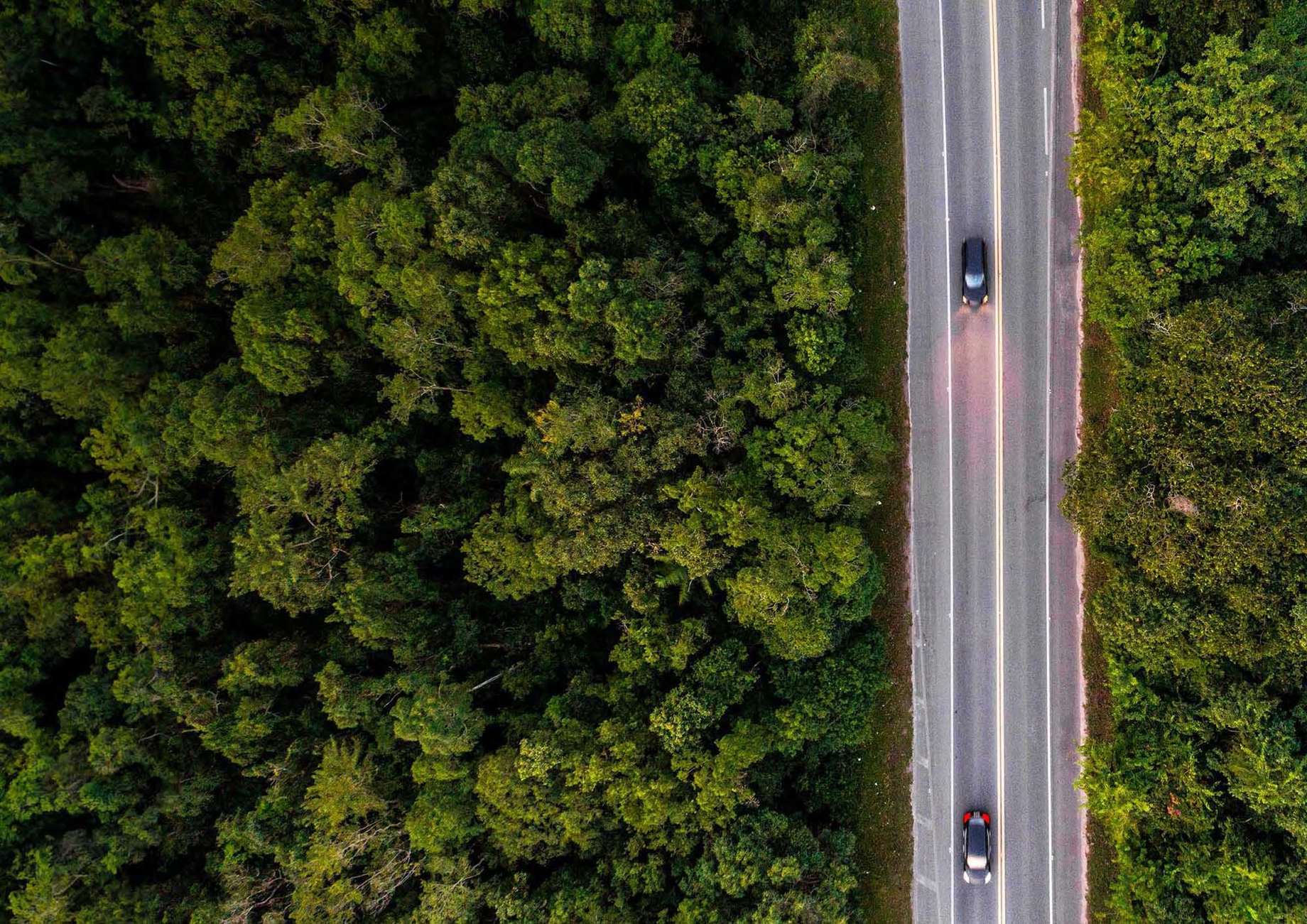 Aerial view of two cars driving on a road with trees either side.