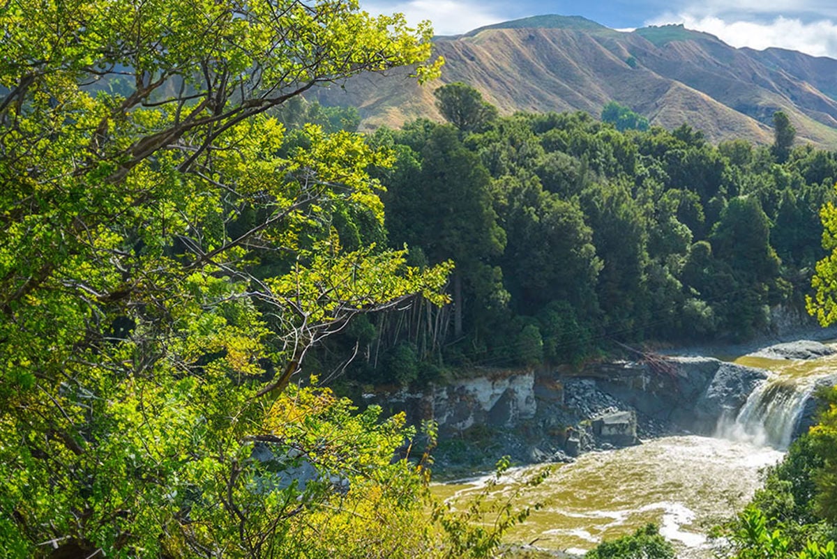 Whanganui River 