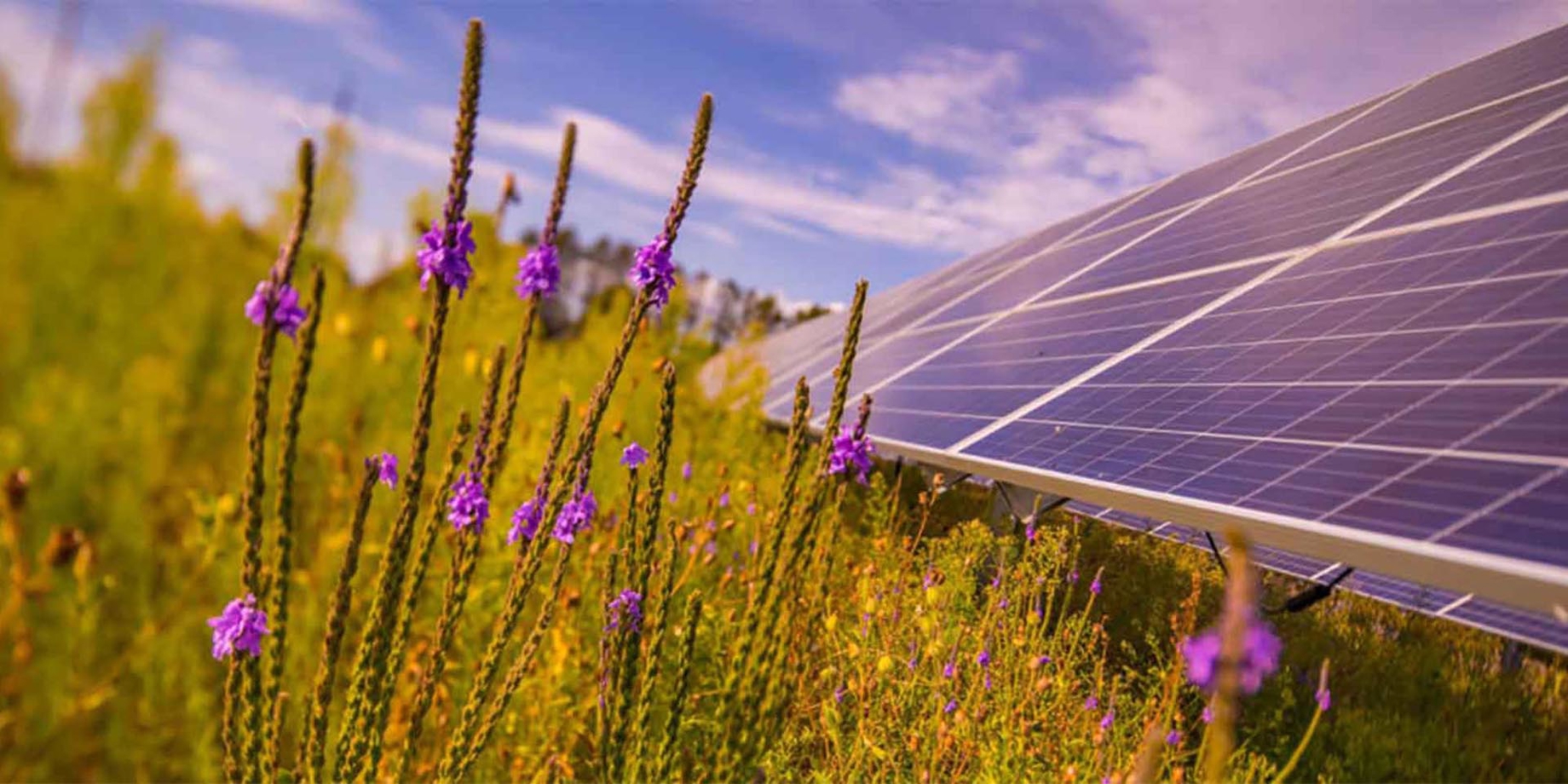 Towards sustainable solar energy