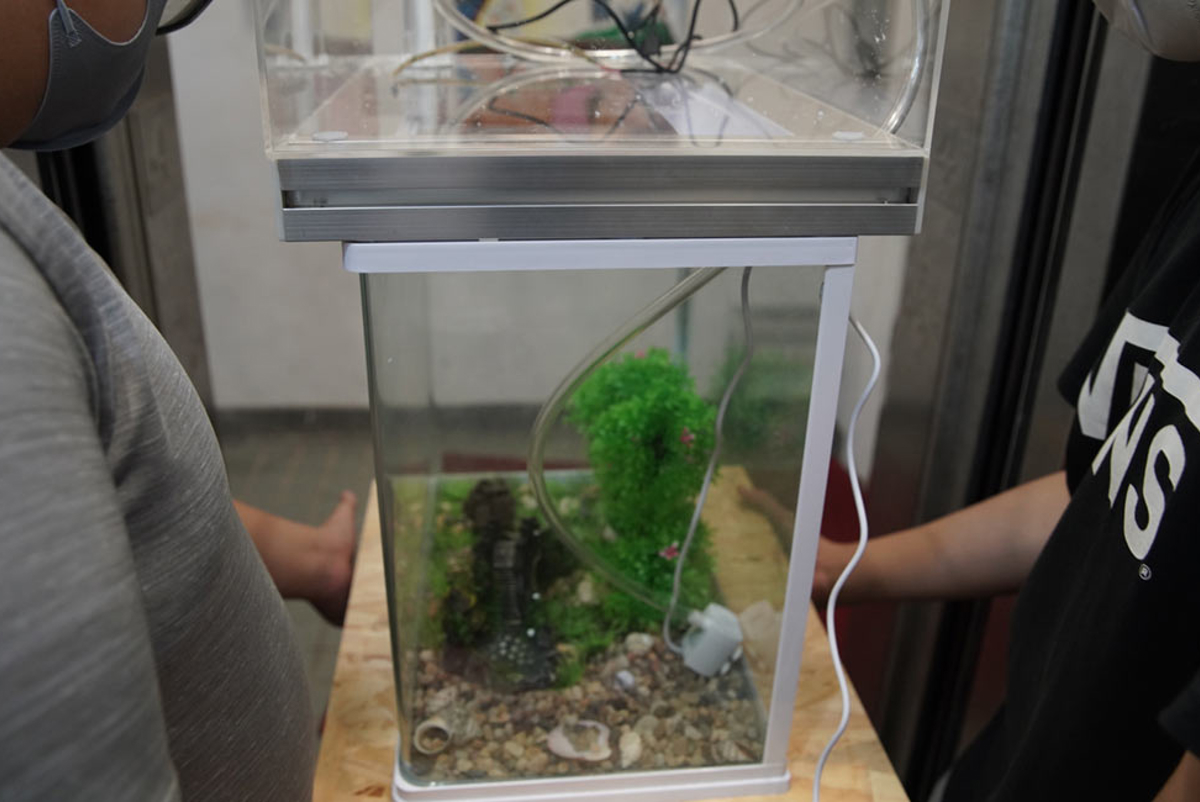 Chong Gene Hang College created its own teaching kit with a portable aquaponics