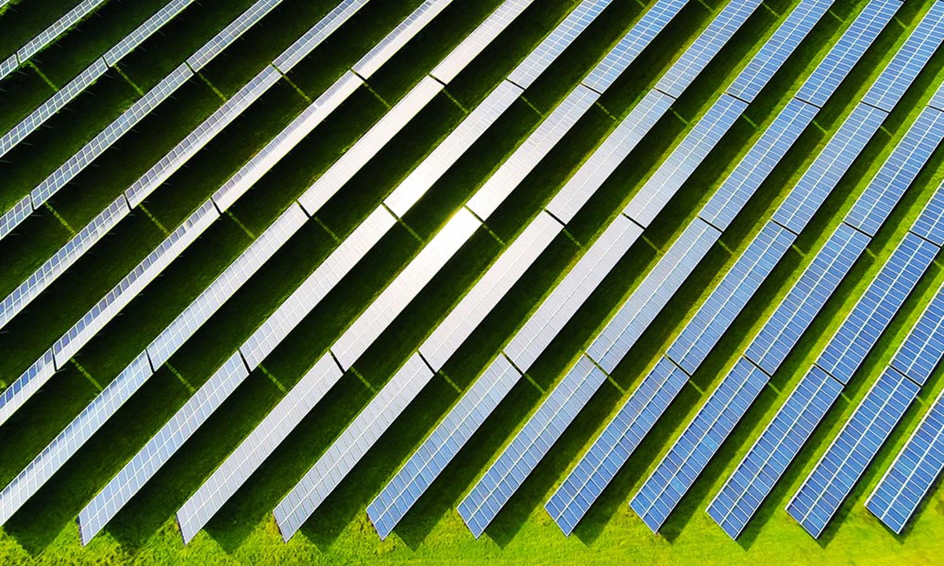 Solar panel farm