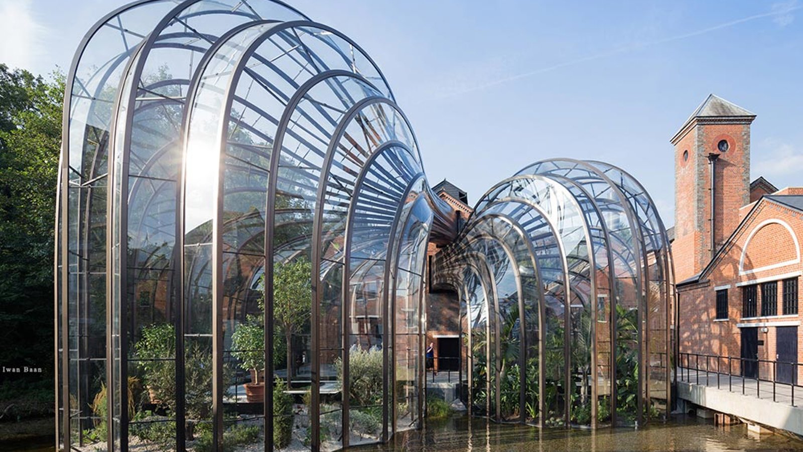 The two glasshouses that sit alongside each other home the botanicals used in the production of Bombay Sapphire gin