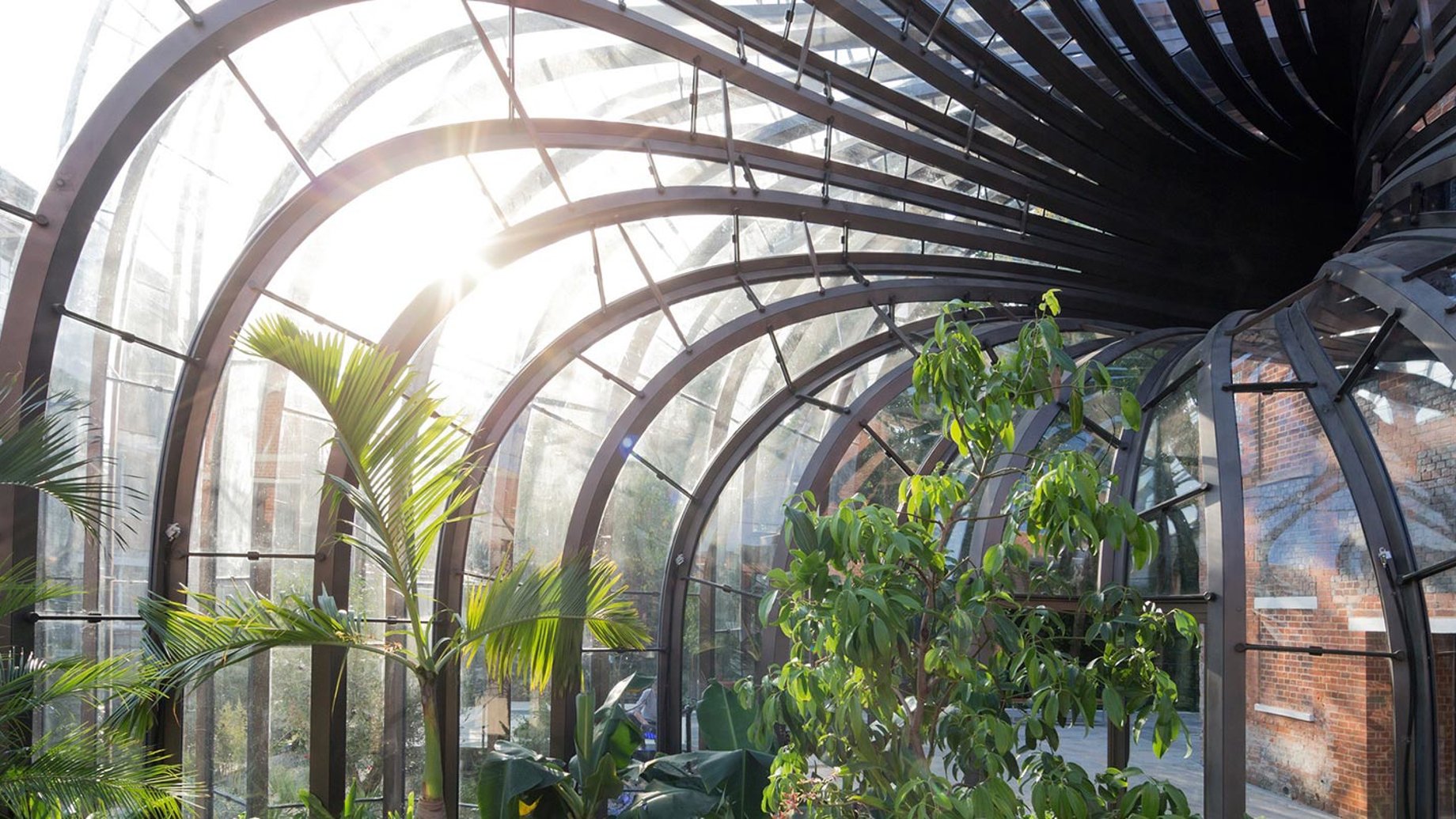 Internal view of one of the glasshouses with the botanicals used in the gin production