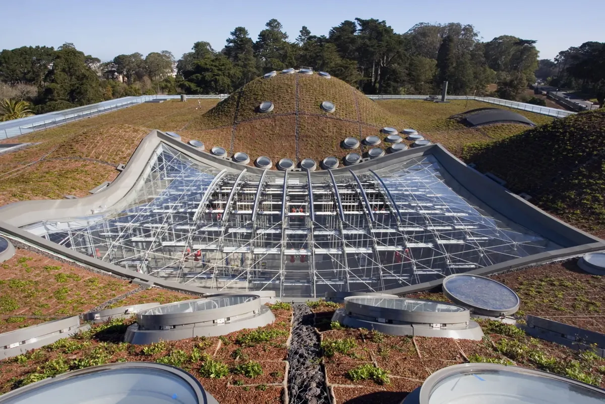 California academy of sciences 