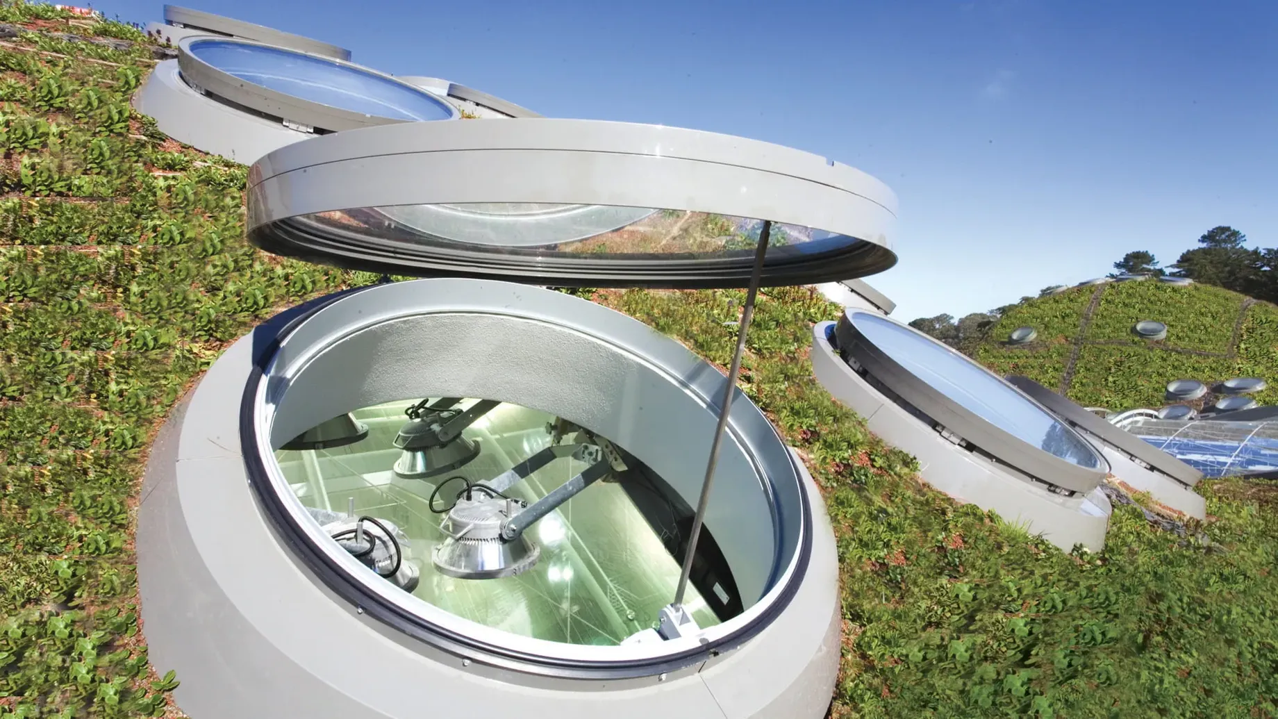 The living roof at California Academy of Sciences