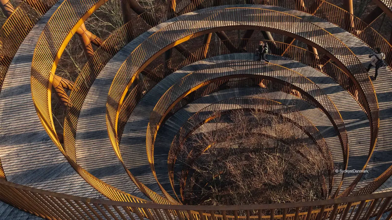 Camp Adventure spiralling walkway seen from the top