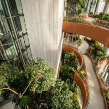 Aerial view of green landscapes inside a tall building