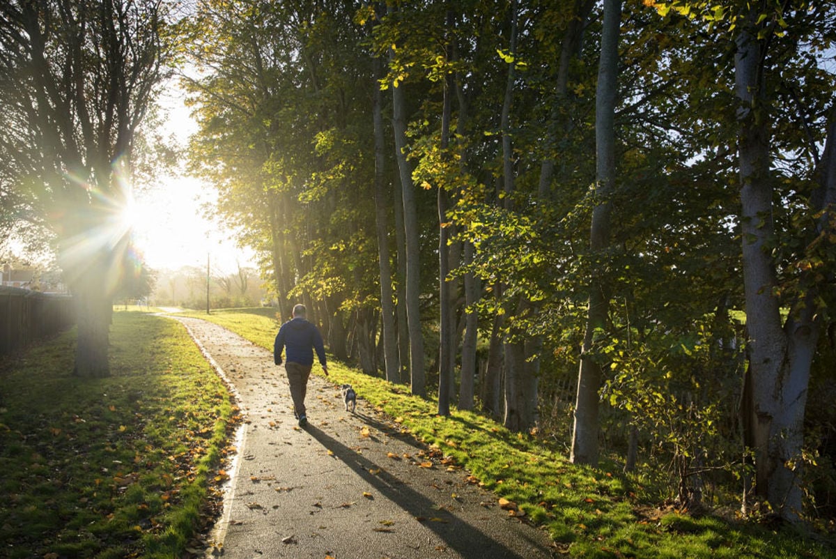 Connswater Community Greenway. Credit: Paul Lindsay / Chris Hill Photographic