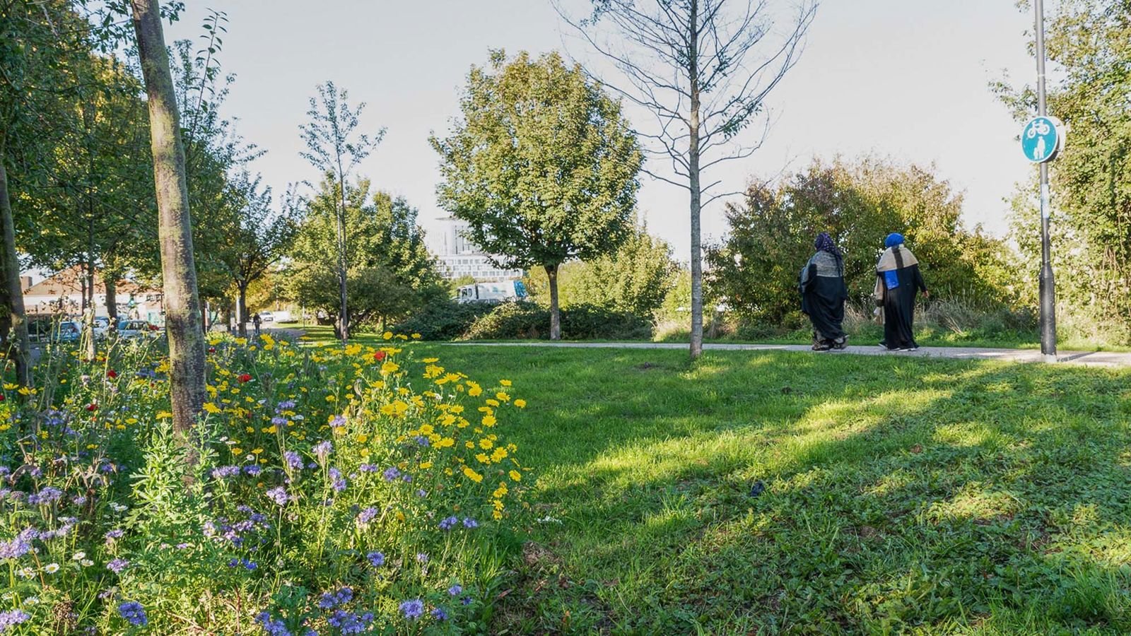 Greener Grangetown