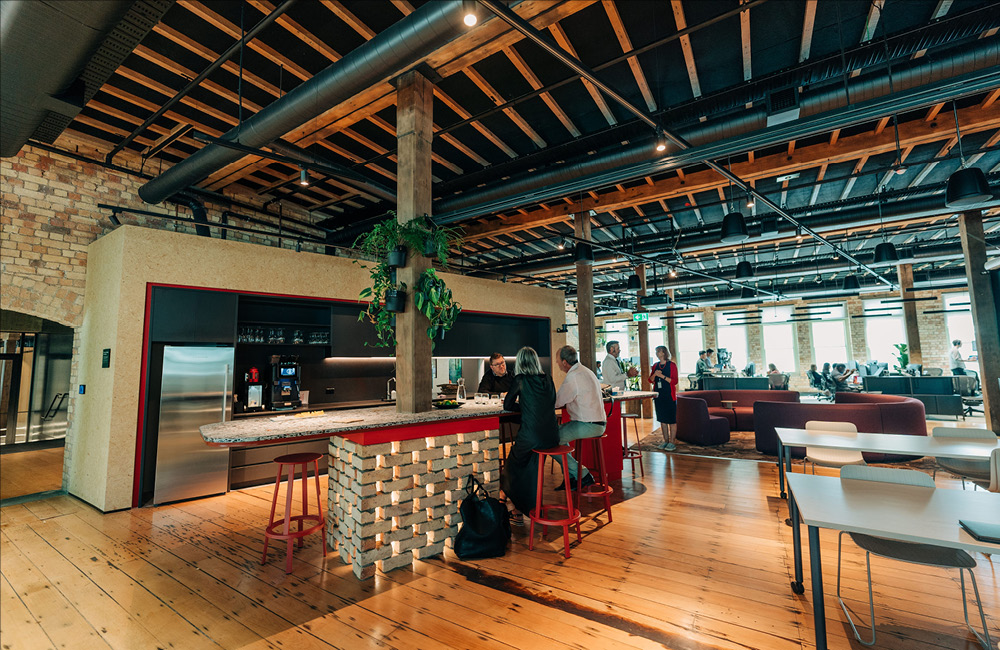 Modern workspace with natural light, open spaces and plants. Credit: All Good Media