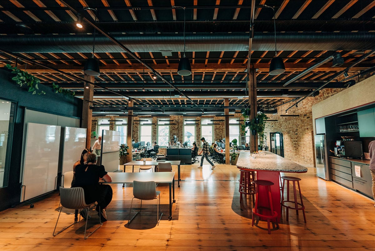 Modern workspace with natural light, open spaces and plants. Credit: All Good Media