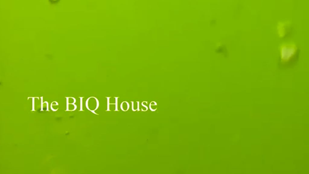 The BIQ House