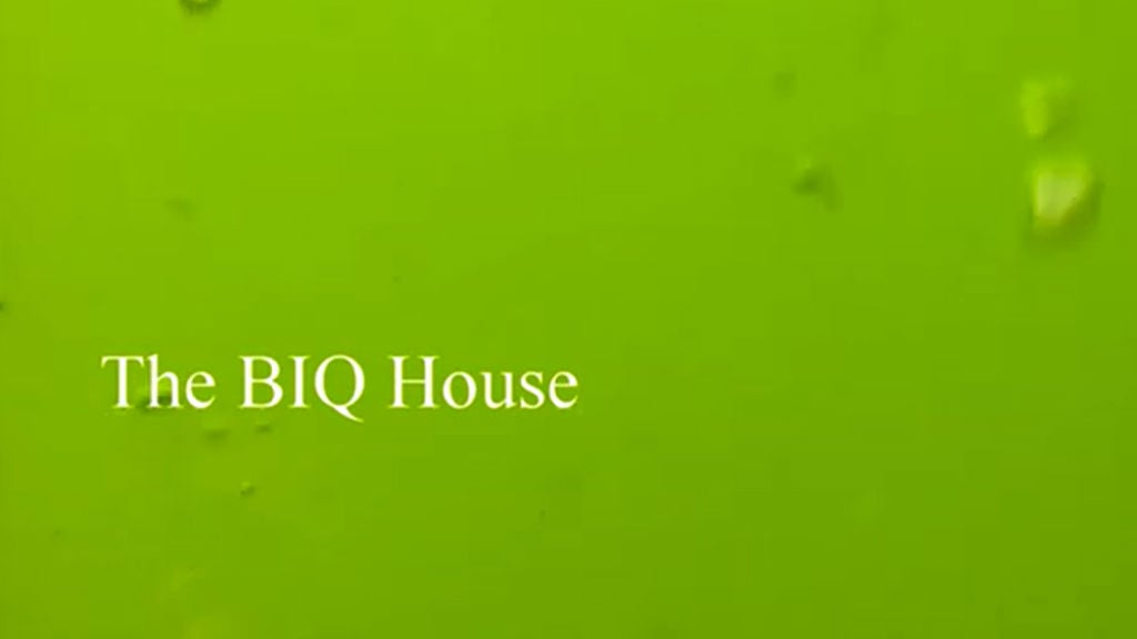 The BIQ House