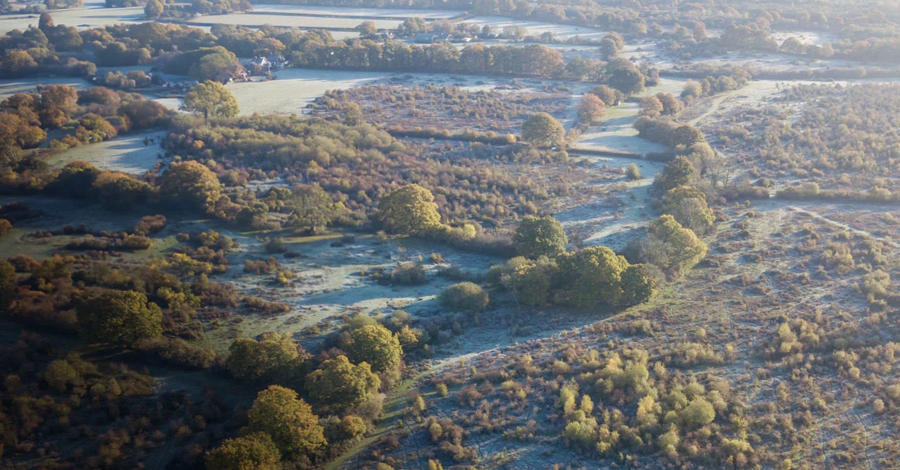 Knepp Wildlands - regenerative land management