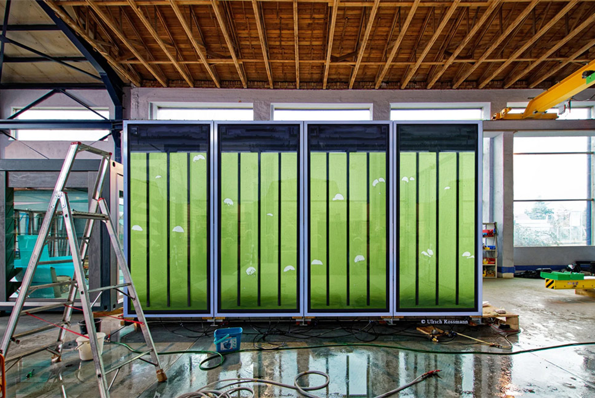 Bioenergy facade